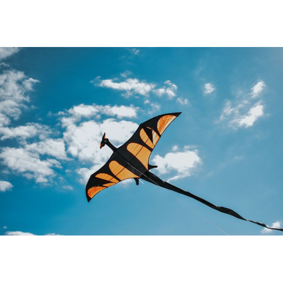 Papírsárkány IMEX Dragon Kite - Sárkány