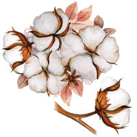 Falmatrica SECRET GARDEN Cotton Large - Pamut virág L 