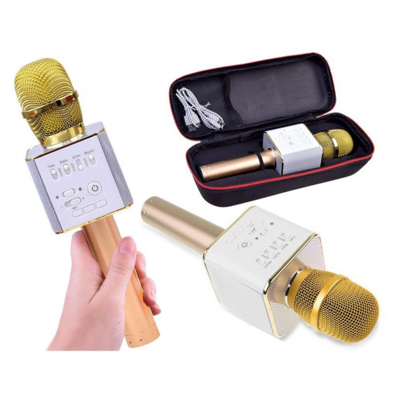 Vezeték nélküli karaoke mikrofon hangszóróval Inlea4Fun INOX - Gold